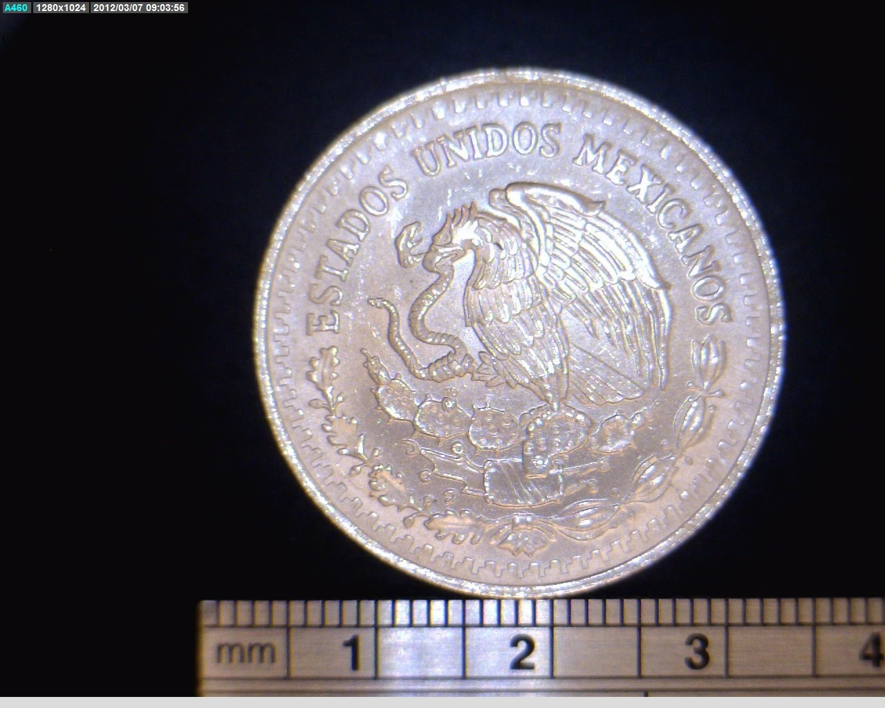 Obverse of a Mexican 1991 half-ounce silver Libertad showing the national eagle and snake.