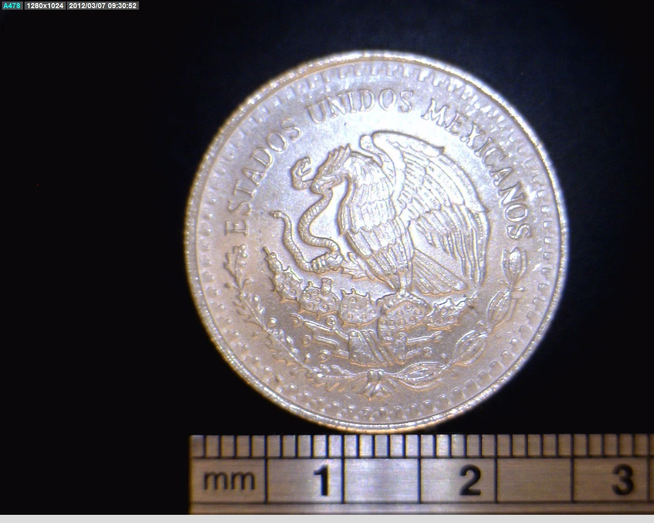 Obverse of a Mexican 1991 quarter-ounce silver Libertad showing the national eagle and snake.