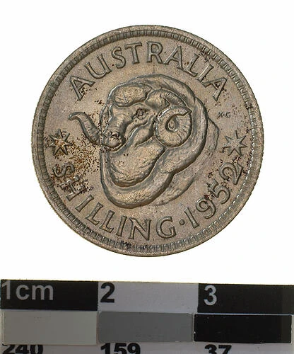 1952 Australian half-silver shilling reverse — ram head and 1952 date with original museum scale